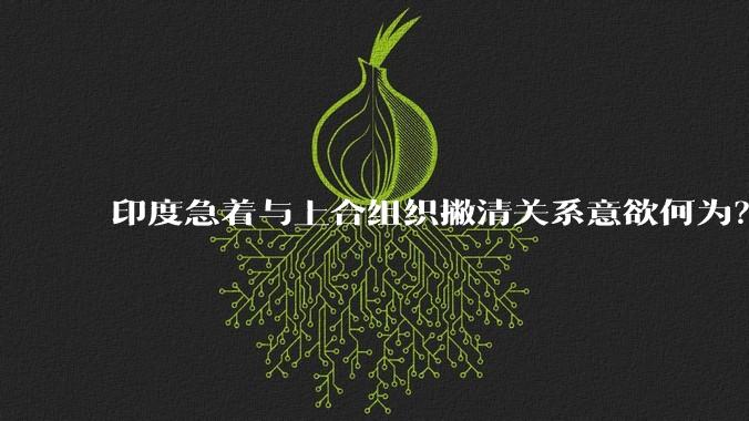 印度急着与上合组织撇清关系意欲何为？